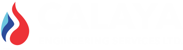 CALAYA ENGINEERING SERVICES LTD